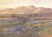 unknow artist Lupine in Kern County oil painting on canvas